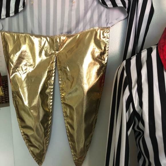 Mr. LOYAL JACKET COSTUME. - Picture 6 of 6